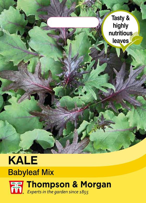 Thompson & Morgan (Uk) Ltd Gardening Kale Babyleaf Mix