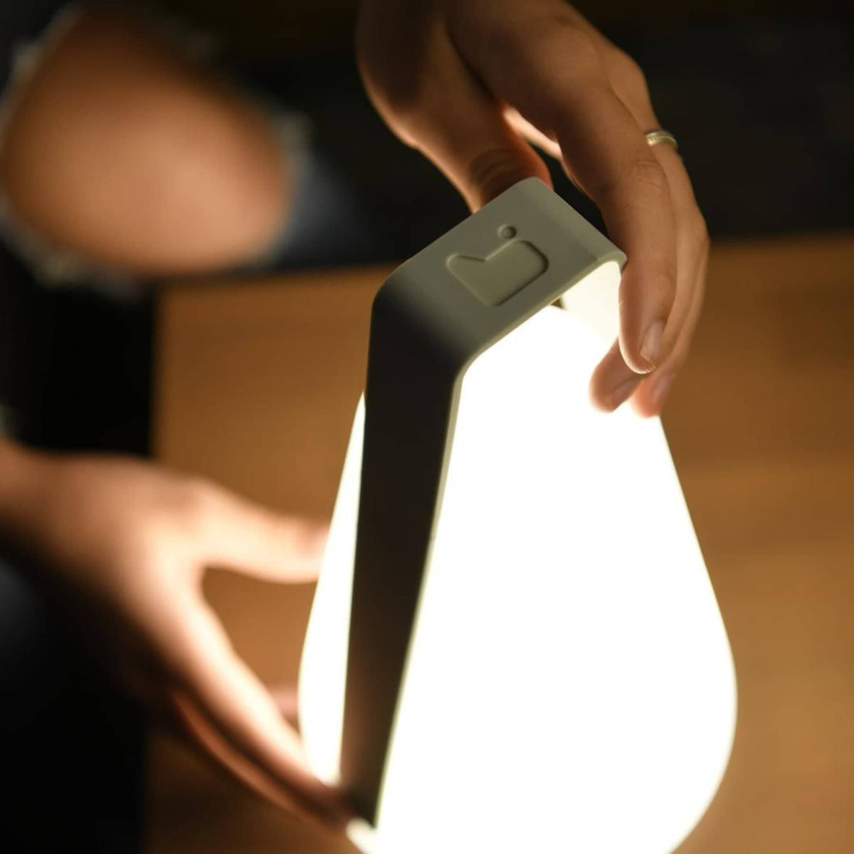 Extreme Lounging B Bulb Garden Lantern (Two Sizes)