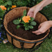 Westland Horticulture Garden Care Westland Container & Basket Planting Mix
