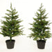 Kaemingk Artificial Christmas Trees Kaemingk Everlands Grandis Christmas Pre Lit Decor Set, Tree Duo, Garland & Wreath