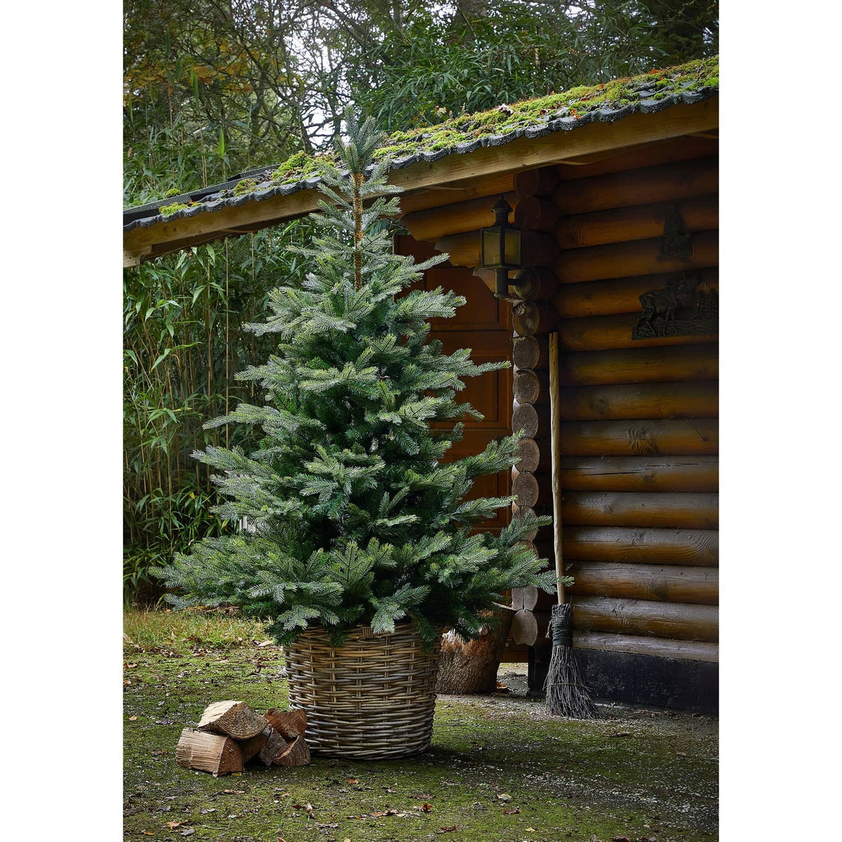 Kaemingk Artificial Christmas Trees Kaemingk Everlands Grandis Fir Christmas Tree 210cm / 7ft