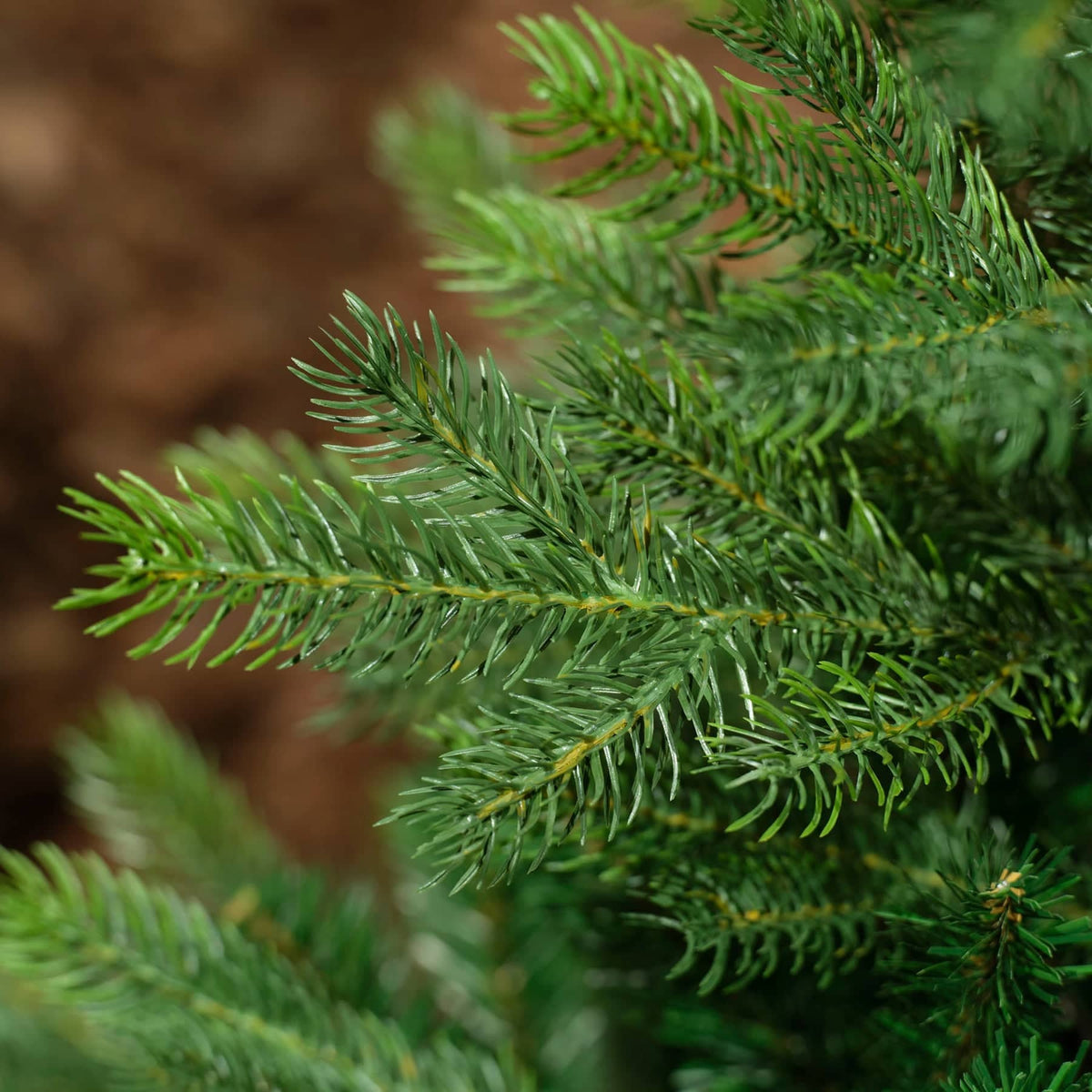 Kaemingk Artificial Christmas Trees Kaemingk Everlands Grandis Fir Christmas Tree 210cm / 7ft