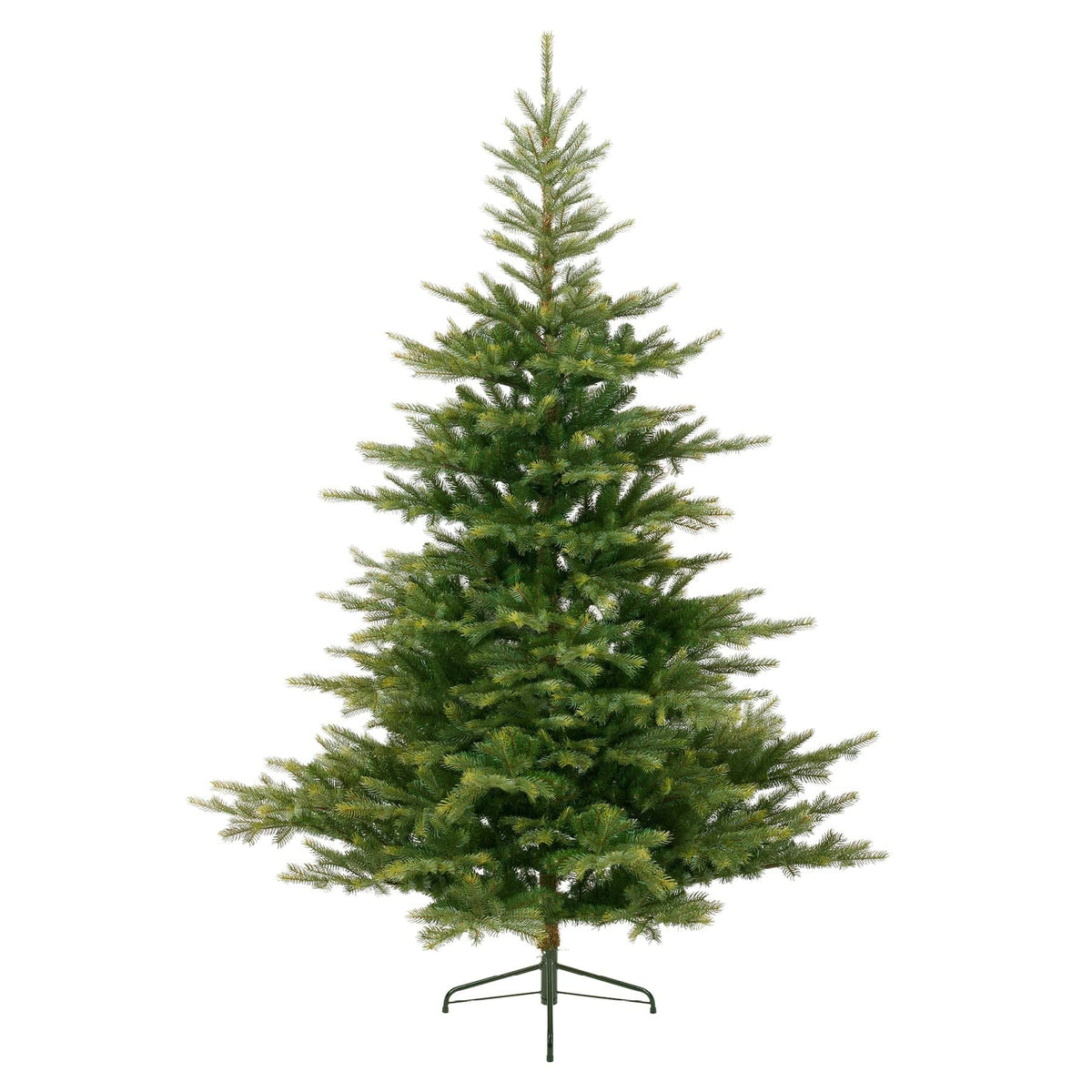 Everlands Grandis Fir Christmas Tree 240cm / 8ft — Mid Ulster Garden ...
