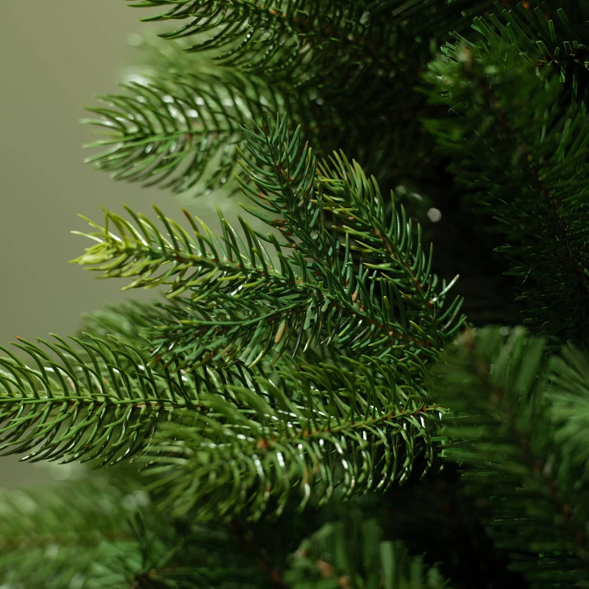 Kaemingk Artificial Christmas Trees Kaemingk Everlands Freiburg Pine Tree 6ft / 180cm