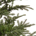 Kaemingk Artificial Christmas Trees Kaemingk Everlands Nobilis Fir Christmas Tree - 210cm / 7ft