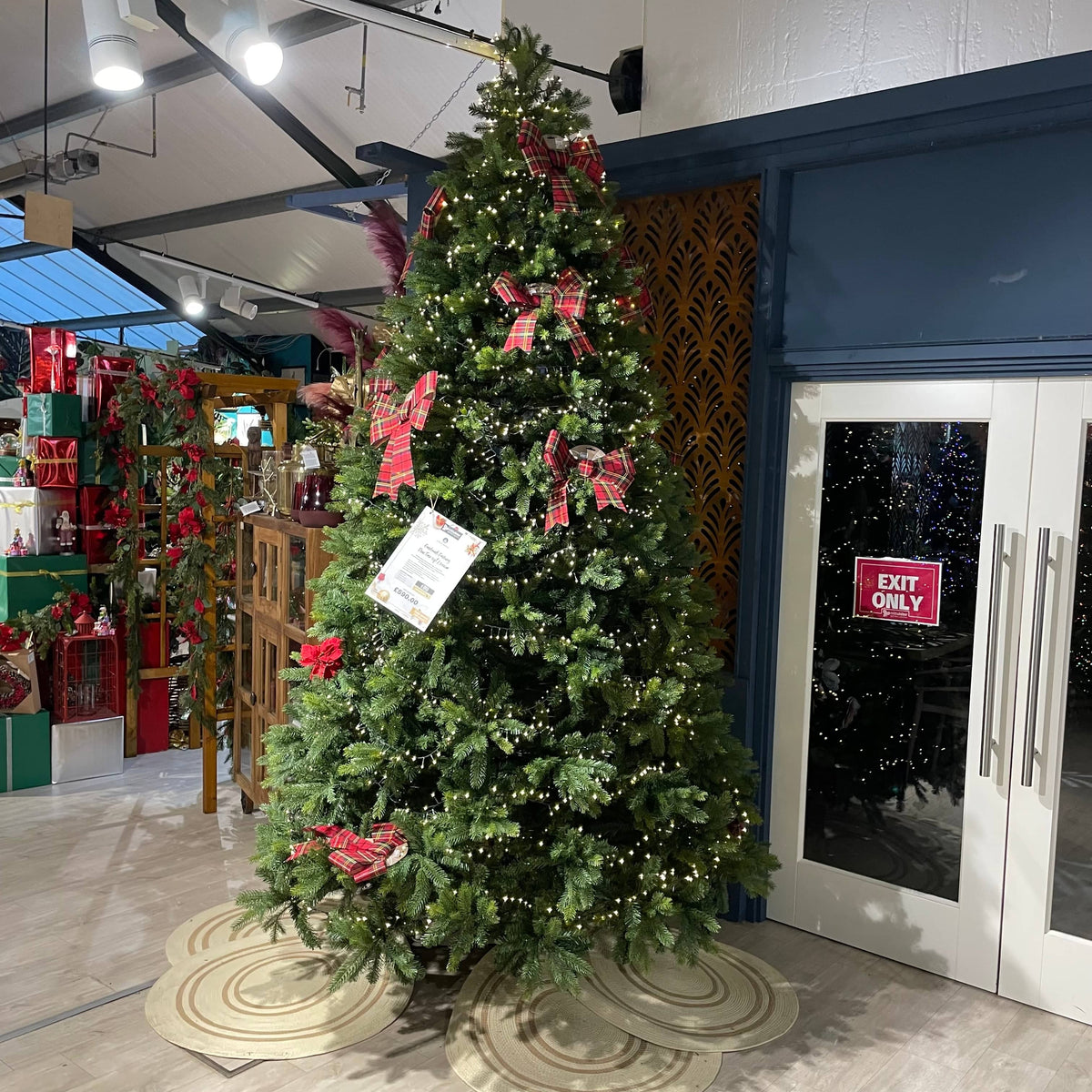 Everlands Freiburg Pine Tree 10ft / 300cm